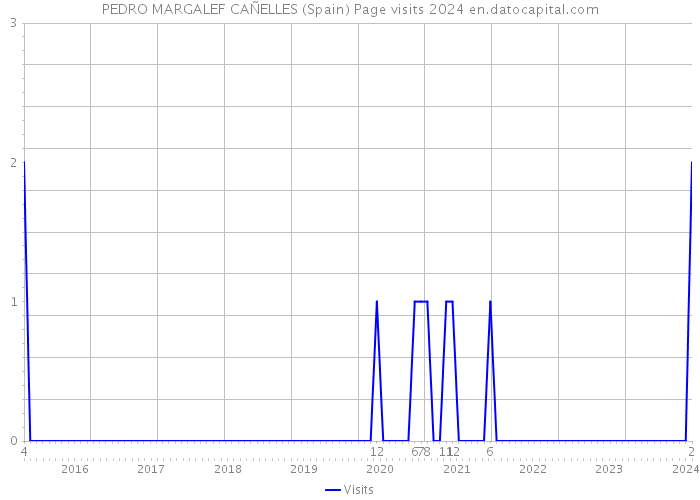 PEDRO MARGALEF CAÑELLES (Spain) Page visits 2024 