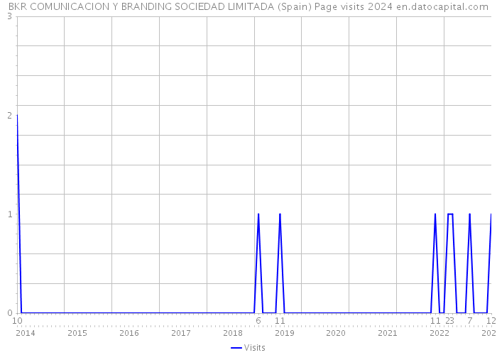 BKR COMUNICACION Y BRANDING SOCIEDAD LIMITADA (Spain) Page visits 2024 