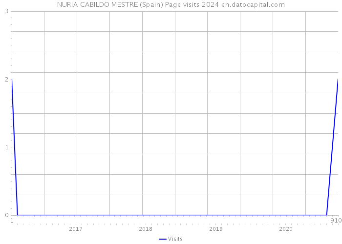 NURIA CABILDO MESTRE (Spain) Page visits 2024 