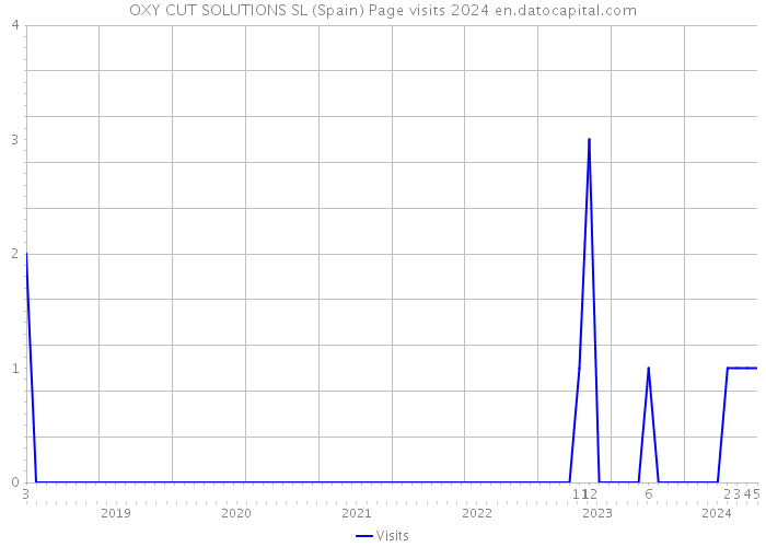 OXY CUT SOLUTIONS SL (Spain) Page visits 2024 
