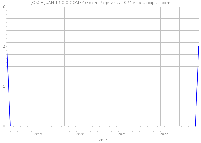 JORGE JUAN TRICIO GOMEZ (Spain) Page visits 2024 