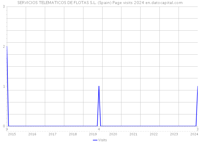 SERVICIOS TELEMATICOS DE FLOTAS S.L. (Spain) Page visits 2024 