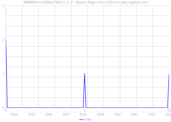 WISEMAN CONSULTING S. C. P. (Spain) Page visits 2024 