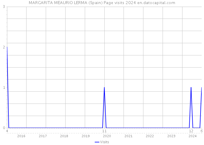 MARGARITA MEAURIO LERMA (Spain) Page visits 2024 