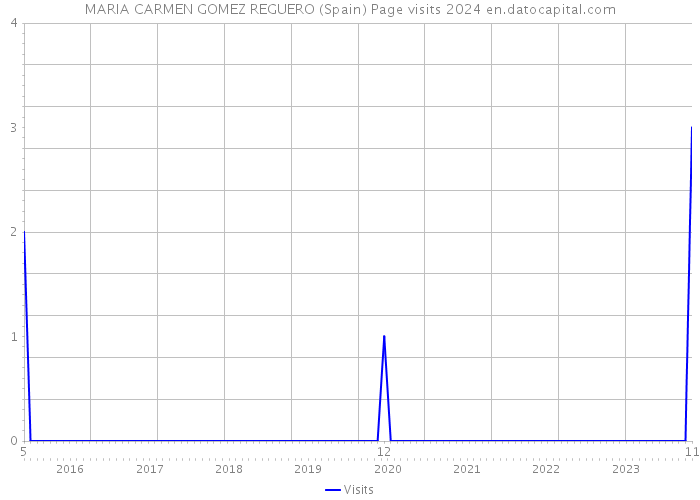 MARIA CARMEN GOMEZ REGUERO (Spain) Page visits 2024 