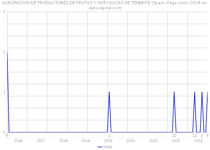 AGRUPACION DE PRODUCTORES DE FRUTAS Y HORTALIZAS DE TENERIFE (Spain) Page visits 2024 