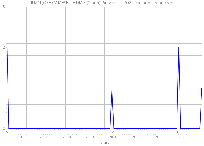 JUAN JOSE CAMESELLE DIAZ (Spain) Page visits 2024 