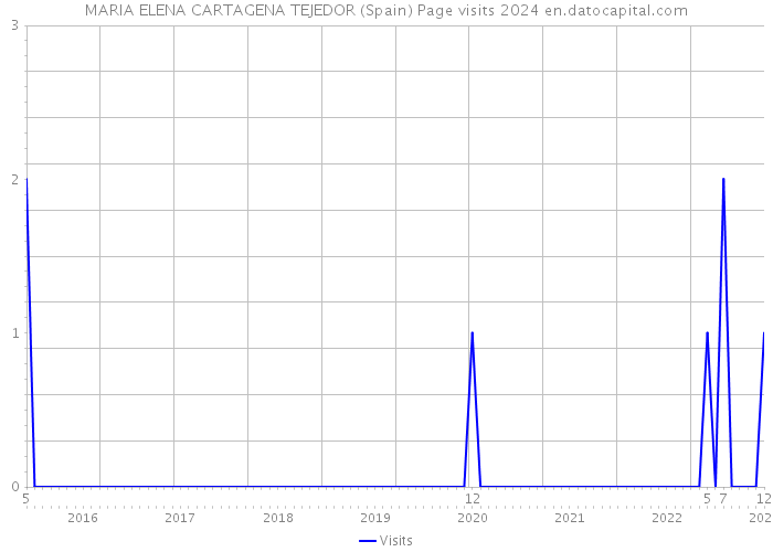 MARIA ELENA CARTAGENA TEJEDOR (Spain) Page visits 2024 