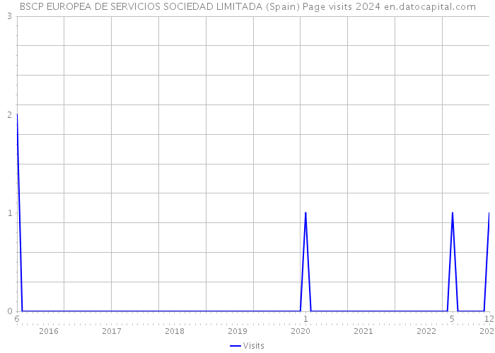 BSCP EUROPEA DE SERVICIOS SOCIEDAD LIMITADA (Spain) Page visits 2024 