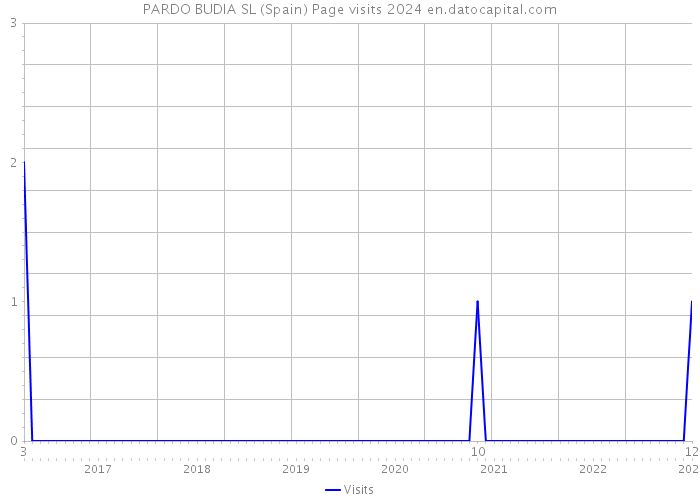 PARDO BUDIA SL (Spain) Page visits 2024 