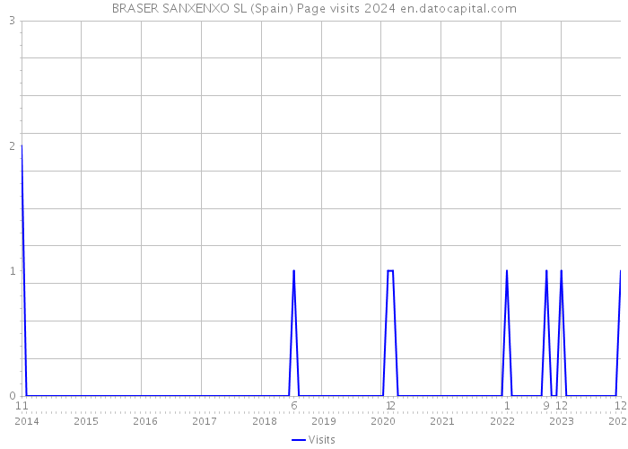 BRASER SANXENXO SL (Spain) Page visits 2024 