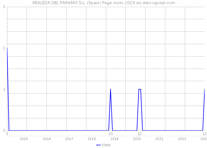 REALEZA DEL PARAMO S.L. (Spain) Page visits 2024 