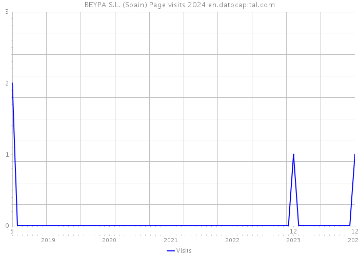 BEYPA S.L. (Spain) Page visits 2024 