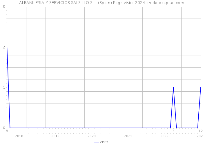 ALBANILERIA Y SERVICIOS SALZILLO S.L. (Spain) Page visits 2024 