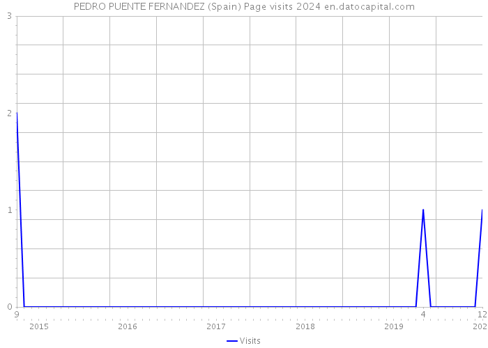 PEDRO PUENTE FERNANDEZ (Spain) Page visits 2024 