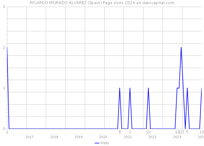 RICARDO MORADO ALVAREZ (Spain) Page visits 2024 