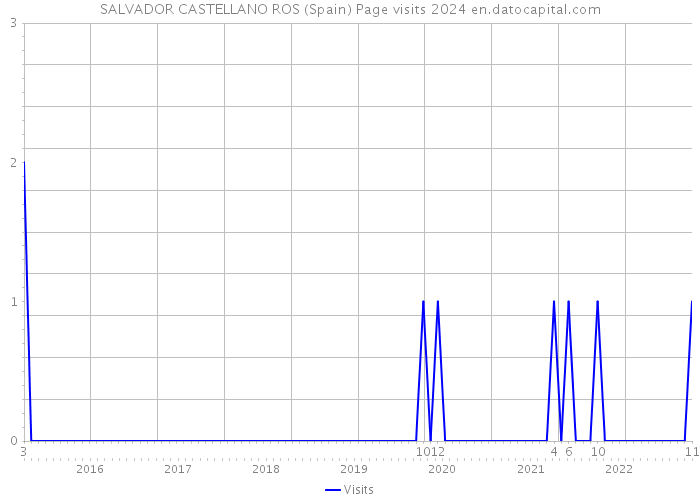 SALVADOR CASTELLANO ROS (Spain) Page visits 2024 