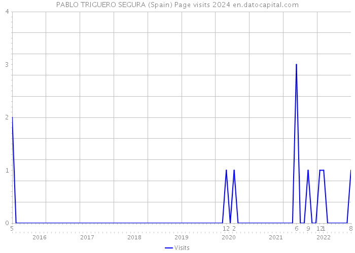 PABLO TRIGUERO SEGURA (Spain) Page visits 2024 