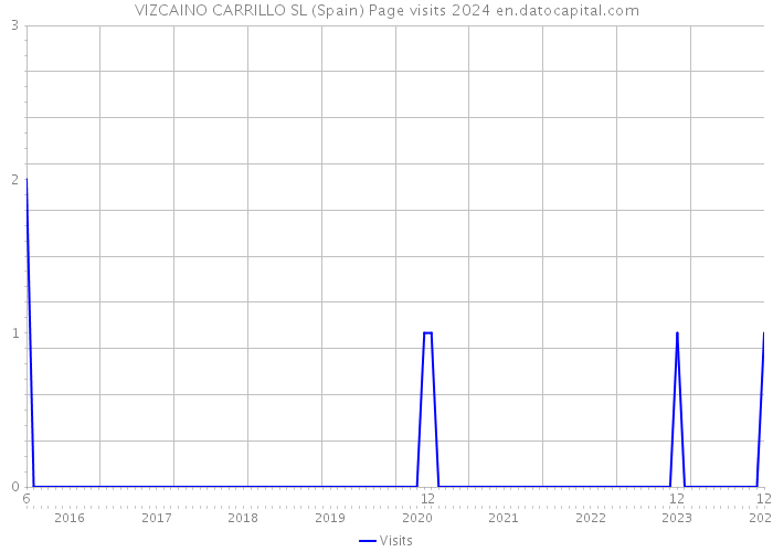 VIZCAINO CARRILLO SL (Spain) Page visits 2024 