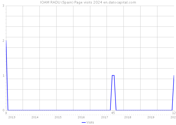 IOAM RADU (Spain) Page visits 2024 