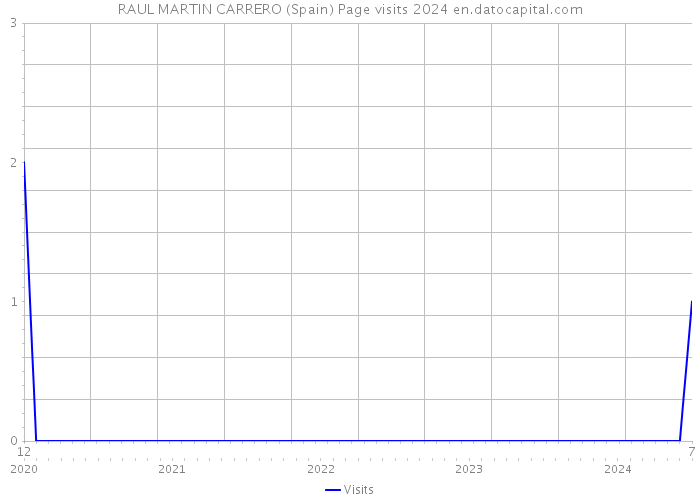RAUL MARTIN CARRERO (Spain) Page visits 2024 