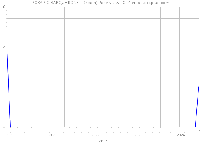 ROSARIO BARQUE BONELL (Spain) Page visits 2024 