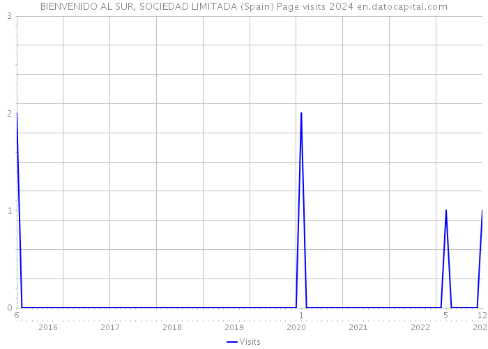 BIENVENIDO AL SUR, SOCIEDAD LIMITADA (Spain) Page visits 2024 