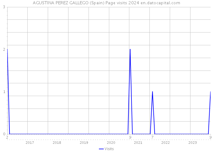 AGUSTINA PEREZ GALLEGO (Spain) Page visits 2024 