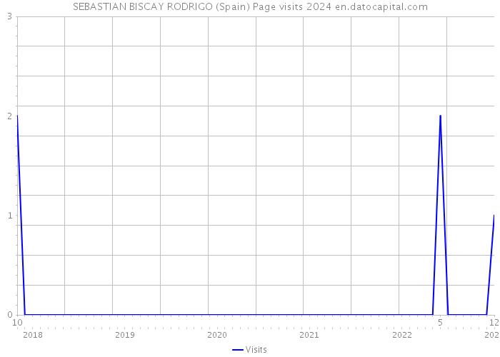 SEBASTIAN BISCAY RODRIGO (Spain) Page visits 2024 