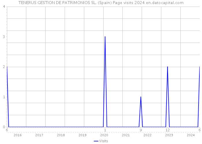 TENERUS GESTION DE PATRIMONIOS SL. (Spain) Page visits 2024 