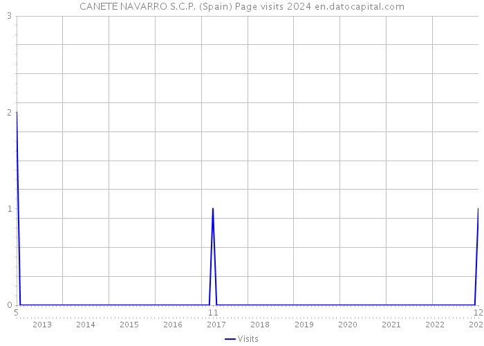 CANETE NAVARRO S.C.P. (Spain) Page visits 2024 