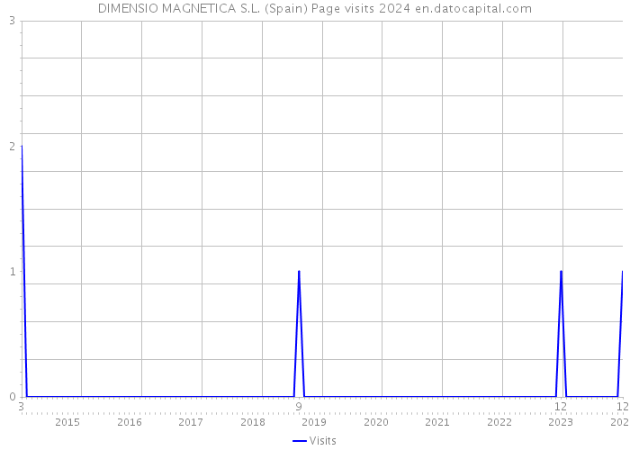 DIMENSIO MAGNETICA S.L. (Spain) Page visits 2024 