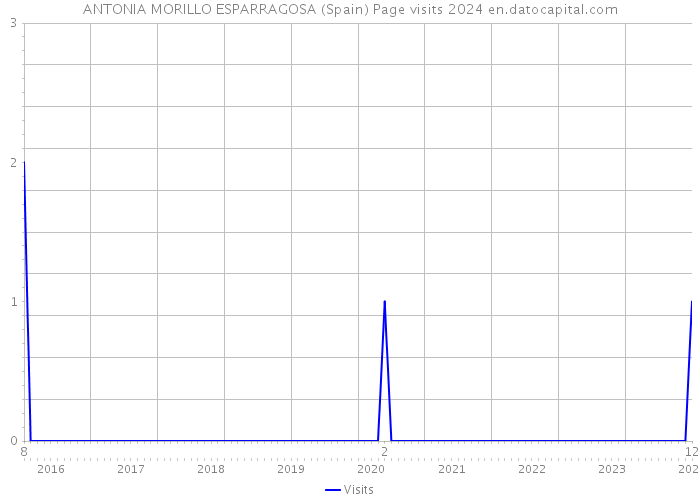 ANTONIA MORILLO ESPARRAGOSA (Spain) Page visits 2024 