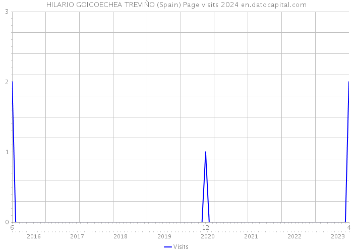 HILARIO GOICOECHEA TREVIÑO (Spain) Page visits 2024 