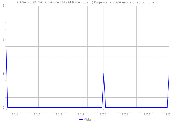 CASA REGIONAL CHARRA EN ZAMORA (Spain) Page visits 2024 