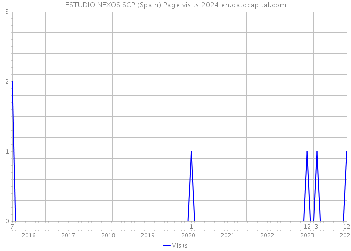 ESTUDIO NEXOS SCP (Spain) Page visits 2024 