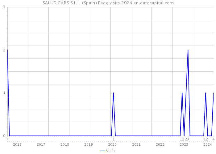 SALUD CARS S.L.L. (Spain) Page visits 2024 