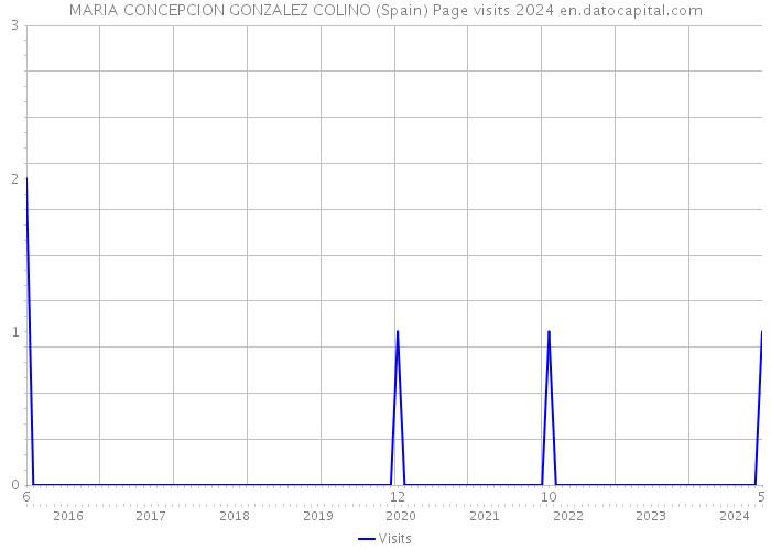 MARIA CONCEPCION GONZALEZ COLINO (Spain) Page visits 2024 