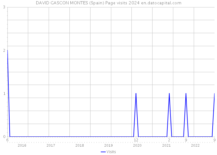 DAVID GASCON MONTES (Spain) Page visits 2024 