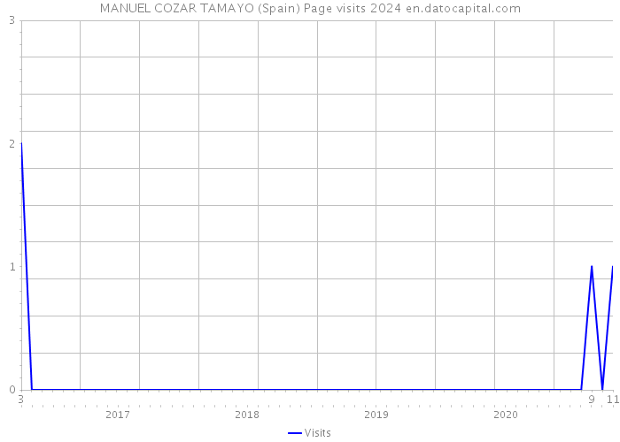 MANUEL COZAR TAMAYO (Spain) Page visits 2024 