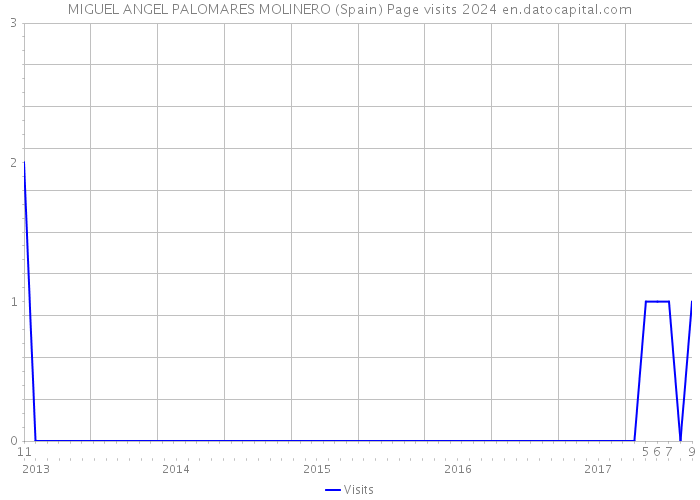 MIGUEL ANGEL PALOMARES MOLINERO (Spain) Page visits 2024 