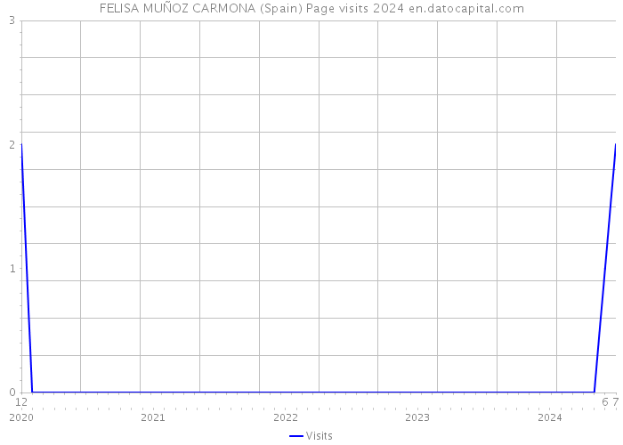 FELISA MUÑOZ CARMONA (Spain) Page visits 2024 