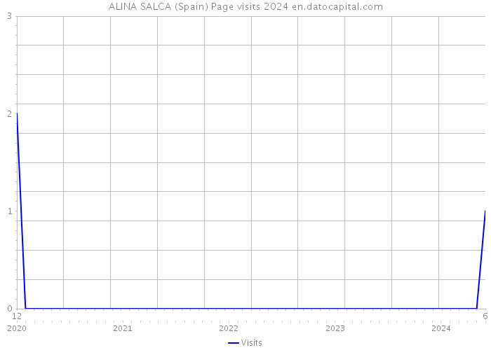 ALINA SALCA (Spain) Page visits 2024 