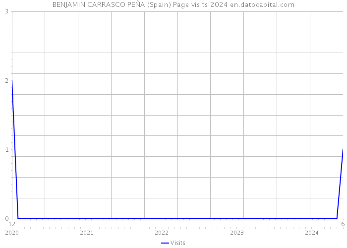 BENJAMIN CARRASCO PEÑA (Spain) Page visits 2024 