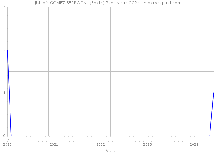 JULIAN GOMEZ BERROCAL (Spain) Page visits 2024 