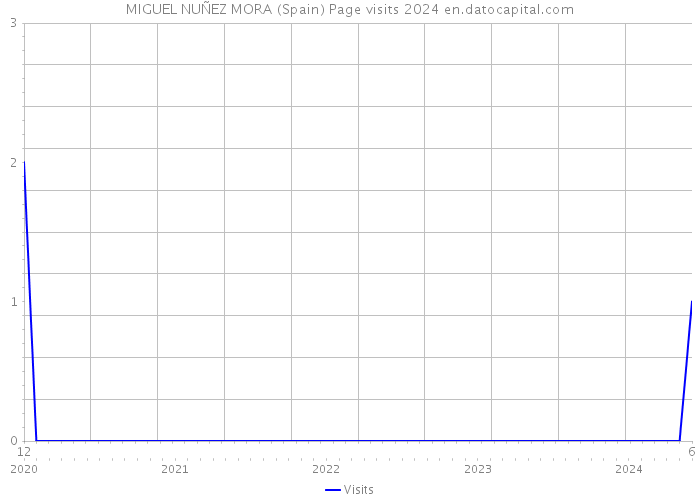 MIGUEL NUÑEZ MORA (Spain) Page visits 2024 