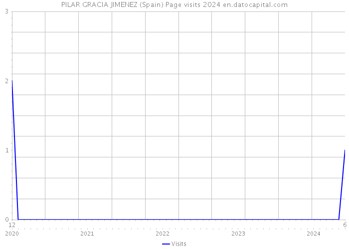 PILAR GRACIA JIMENEZ (Spain) Page visits 2024 