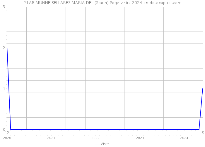 PILAR MUNNE SELLARES MARIA DEL (Spain) Page visits 2024 