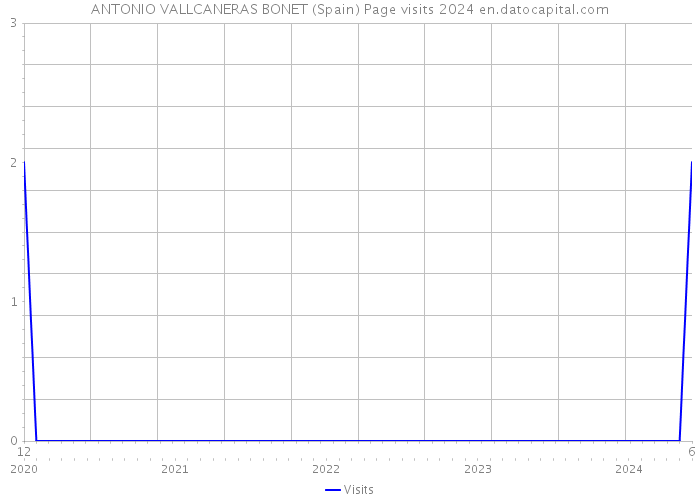 ANTONIO VALLCANERAS BONET (Spain) Page visits 2024 