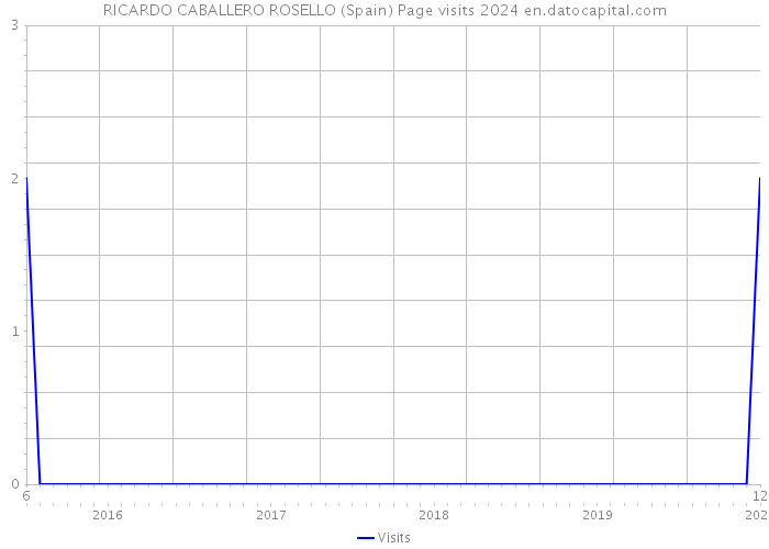 RICARDO CABALLERO ROSELLO (Spain) Page visits 2024 